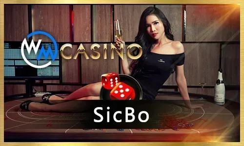 Casino Slots Games
